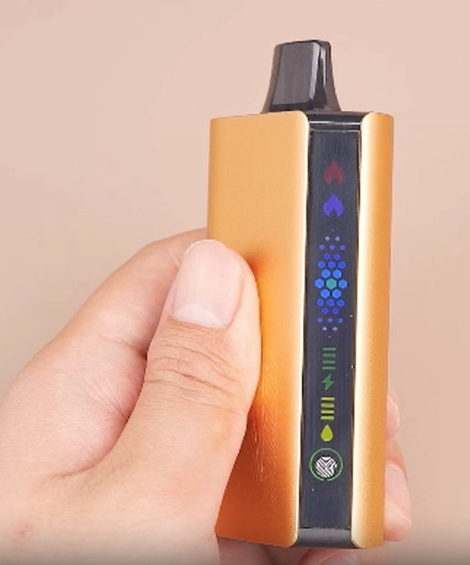 JNR Cruiser 12000 Puffs